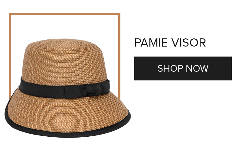 PAMIE VISOR